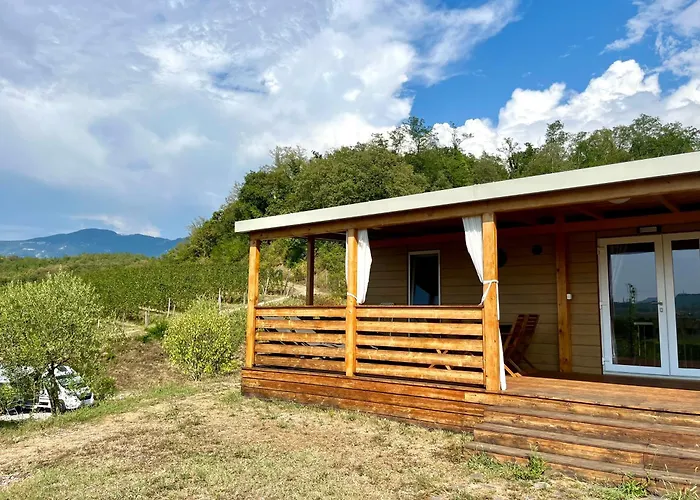 Saxida Wine Estate