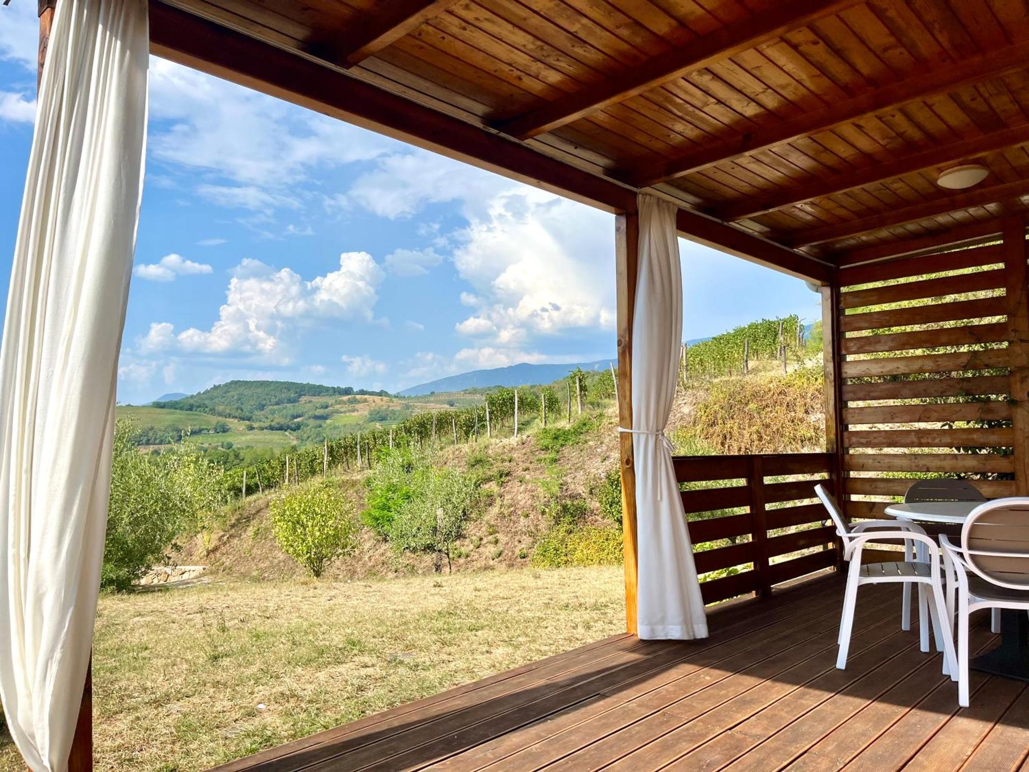 Saxida Wine Estate